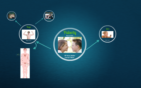 Puberty by Harry Holder on Prezi