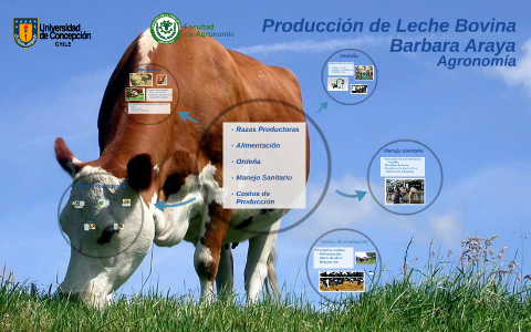 Producción de Leche Bovina by Joaquin Venegas