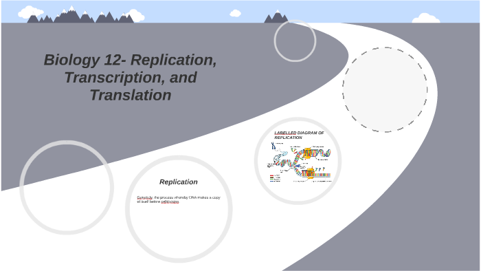 Biology 12 Three Process in our cells by Ryan Sze To on Prezi
