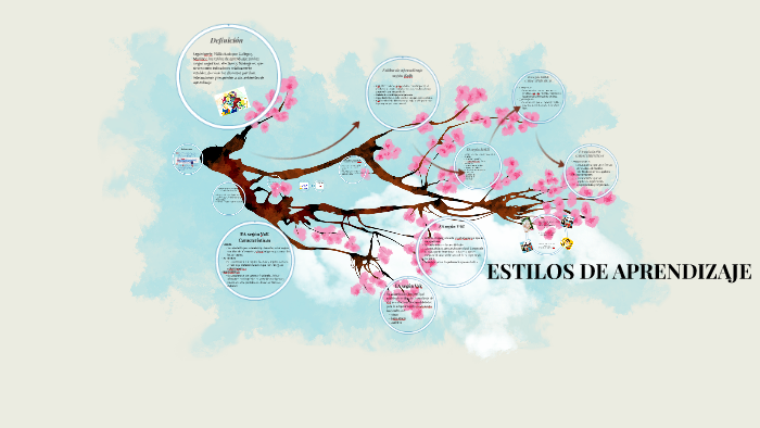 ESTILOS DE APRENDIZAJE by Virgen Estela on Prezi