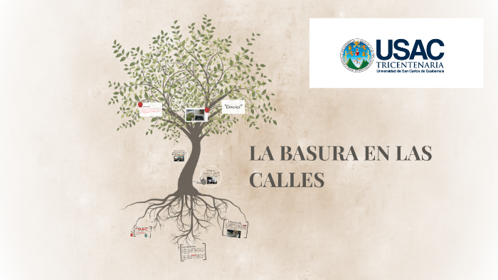 LA BASURA EN LAS CALLES by byron pedro sebastian on Prezi