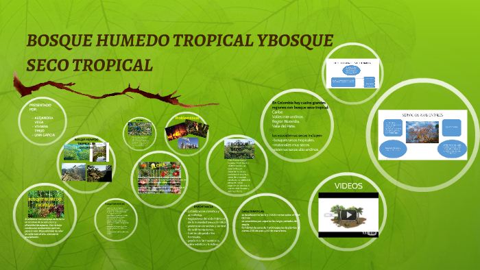 mapa del bioma del bosque seco tropical