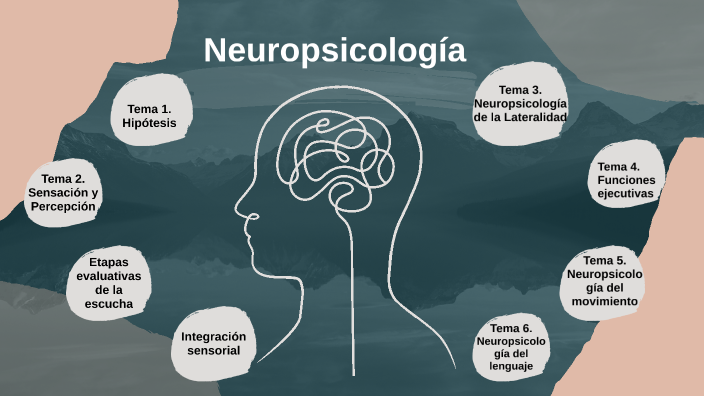 Neuropsicología by paola Ruiz on Prezi