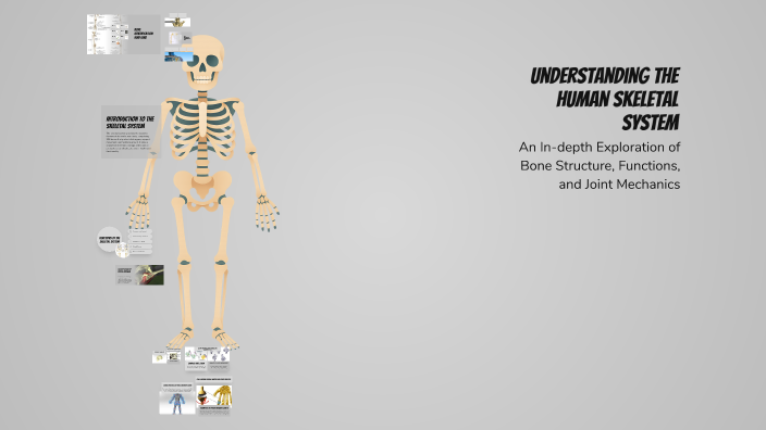 Understanding the Human Skeletal System by akshata sawant on Prezi