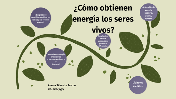 ¿Cómo obtienen energía los seres vivos? by Arturo Garrido on Prezi