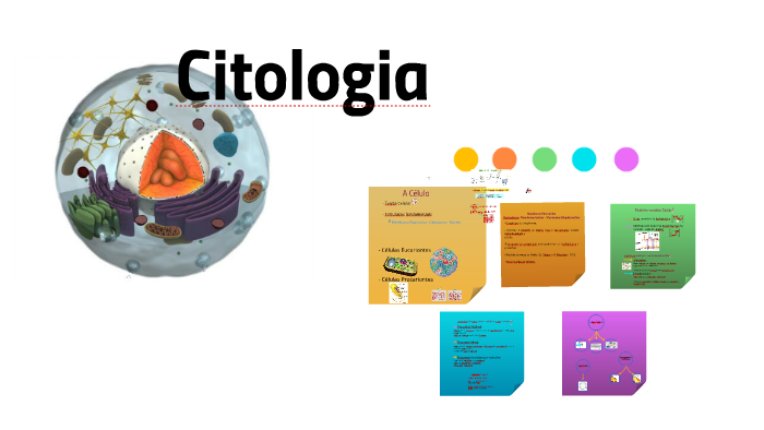 Citologia by mariana proença on Prezi