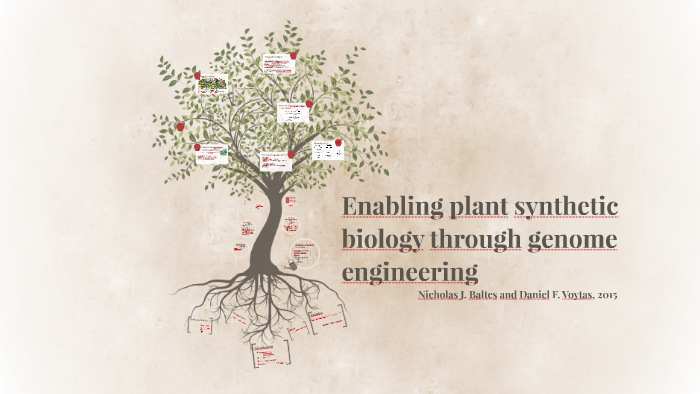 Enabling plant synthetic biology through genome by Melissa Ribeiro on Prezi