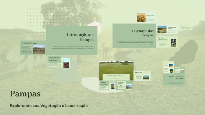 Pampas by Isabely Frizon on Prezi