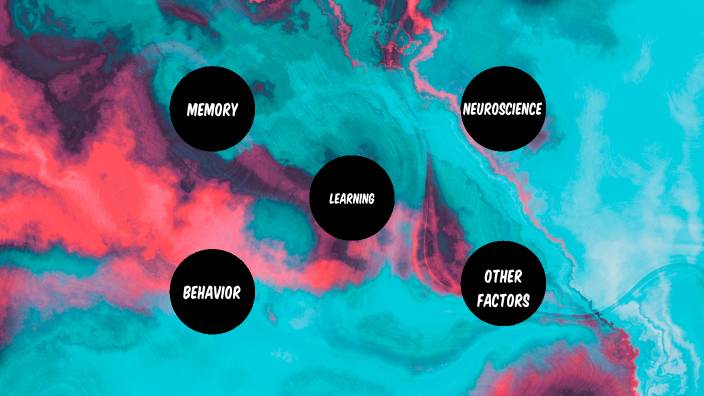 Morgan's Learning Model by Morgan Inman on Prezi