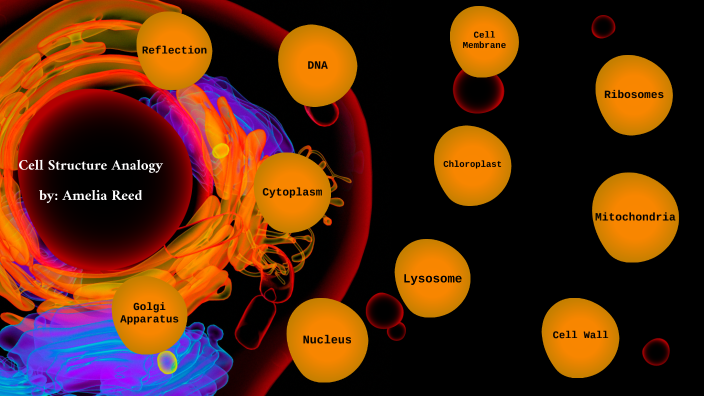 Cell Structure Analogy Project- Amelia Reed by Amelia Reed on Prezi