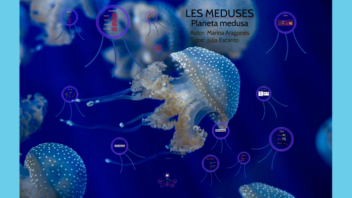 Les Meduses By Marina Arago On Prezi - 