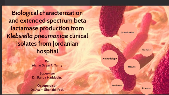 thesis of klebsiella pneumoniae