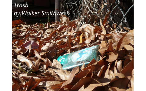 Garbage photo essay 07 image