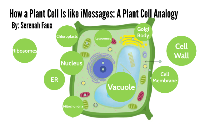 A Plant Cell Analogy By Serenah Faux On Prezi 7267