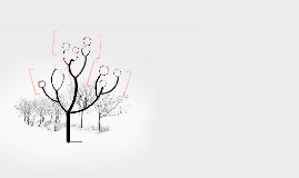 Untitled Prezi