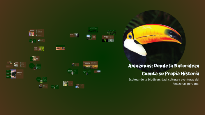 Amazonas: Donde la Naturaleza Cuenta su Propia Historia by Véronique ...