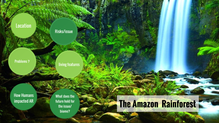 The Amazon Rainforest By Tahmina Sediqi On Prezi