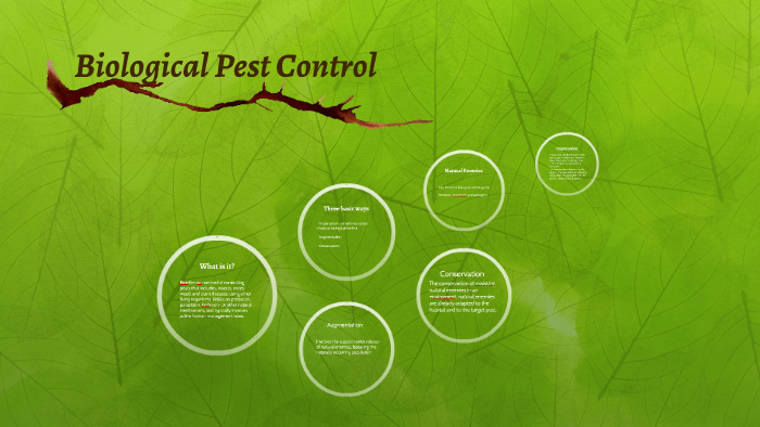 Biological Pest Control By Jordan Sheaffer