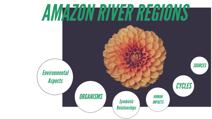 Amazon river by William Alavez on Prezi