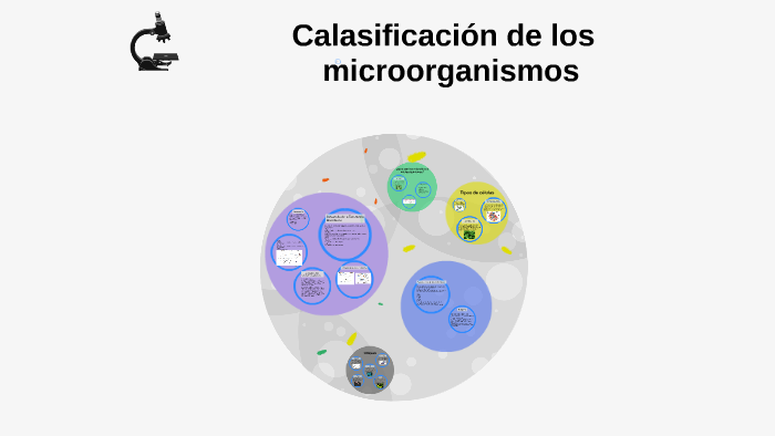 Calasificación de los by Jair Pineda on Prezi