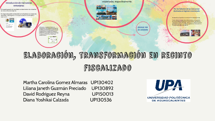 Elaboración, transformación en recinto fiscalizado by Liliana Guzmán