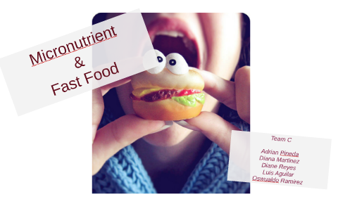 Micronutrient food tracker picture