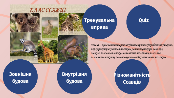 Клас Ссавці by Андріана Скільська on Prezi