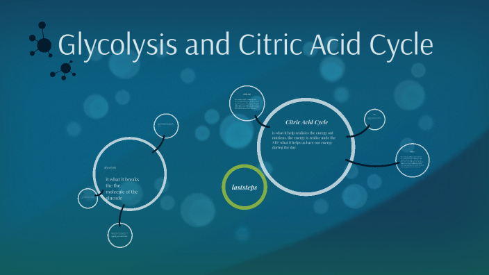 Glycolysis and Citric Acid Cycle by ayleen aguilar on Prezi