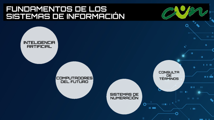 Introducción Y Fundamentos De Los Sistemas De Información By Felipe ...