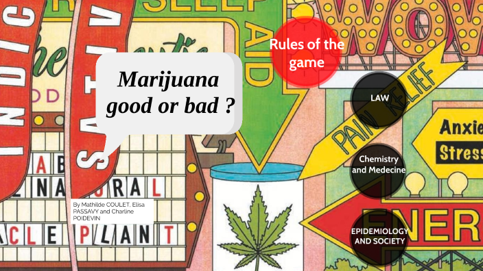 Marijuana good or bad ? by mathilde coulet on Prezi