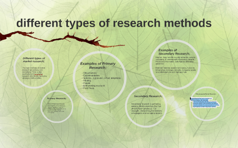 different types of research methods by sally taylor on Prezi