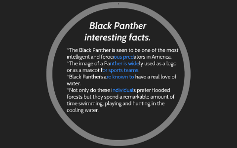 interestingとは 意味・読み方・使い方 visual data 2