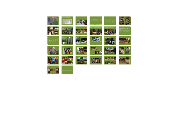 Untitled Prezi