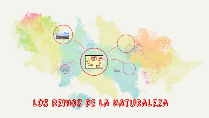 los reinos de la naturaleza by nelcy lizzeth paez garcia on Prezi
