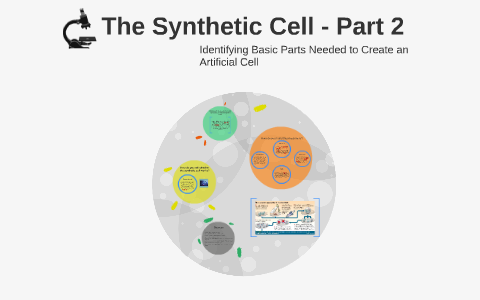 The Synthetic Cell - Part 2 by Alisha MacIsaac