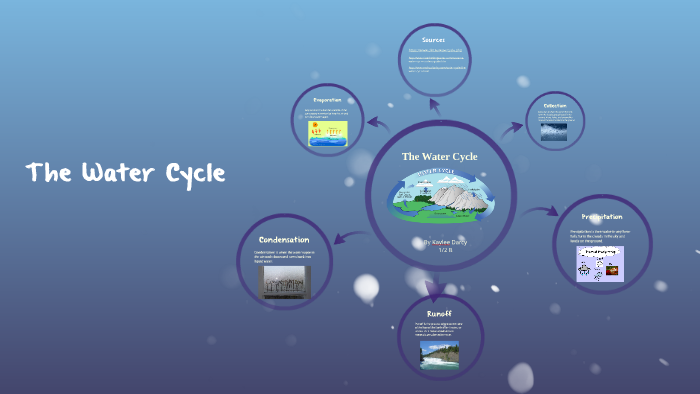 The Water Cycle by Kaylee Darcy on Prezi