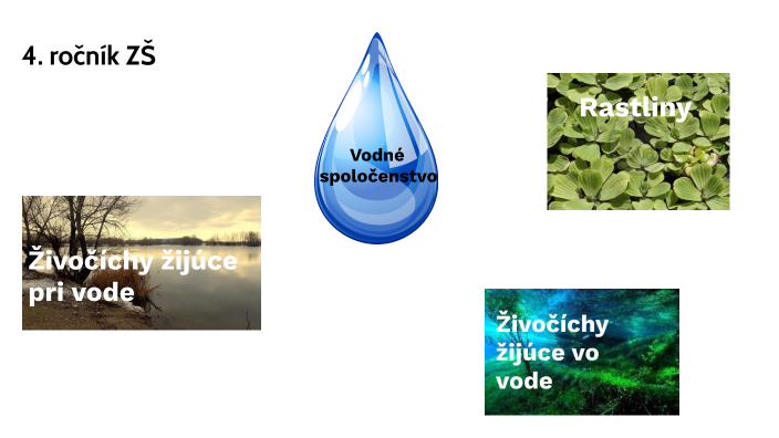 Web Development Best Practices for Success