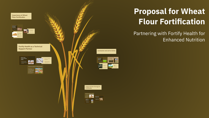 Proposal for Wheat Flour Fortification by Shailendra Kumar on Prezi