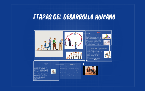 Etapas Del Desarrolo Humano by Sergio Hernandez