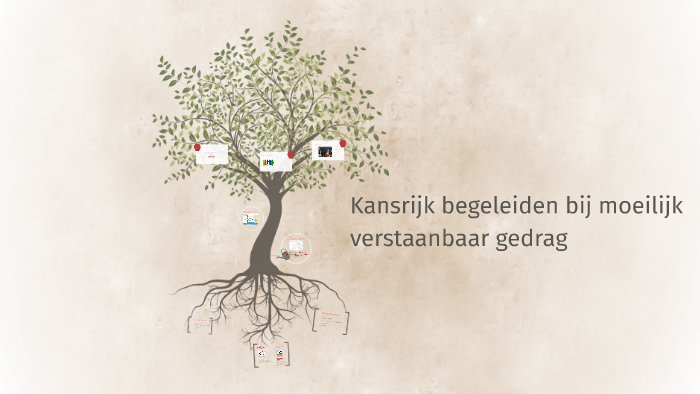 Kansrijk begeleiden bij moeilijk verstaanbaar gedrag by on Prezi