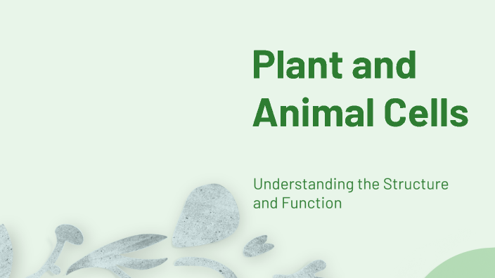 Exploring Plant and Animal Cells by Miys Al Saigh on Prezi