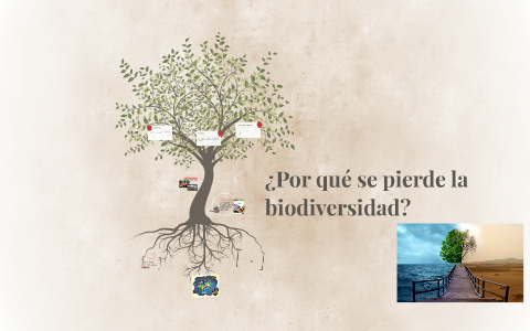 ¿Por qué se pierde la biodiversidad? by LIZETH LEGASPI