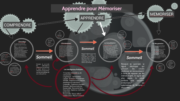 Fonctionnement de la Mémoire by steph brousse on Prezi