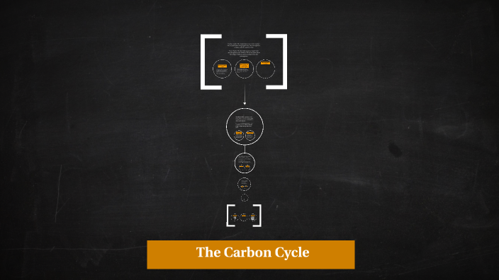 The Carbon Cycle by nathan on Prezi