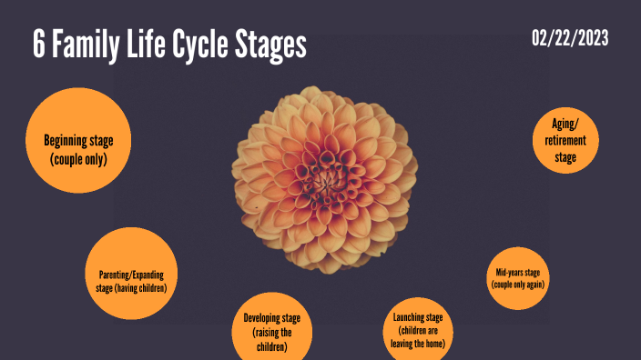 6-family-life-cycle-stages-by-kasan-whitaker-on-prezi