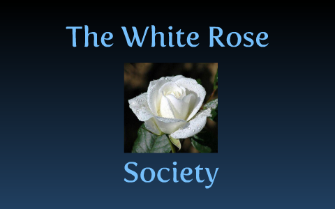 The White Rose Society by Oakley Lisson