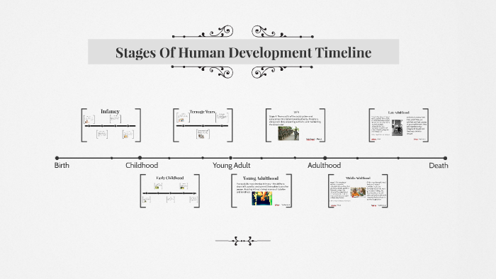 human lifespan development stages
