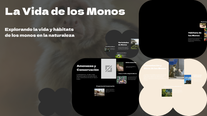 La Vida de los Monos by Mayra Ventura on Prezi