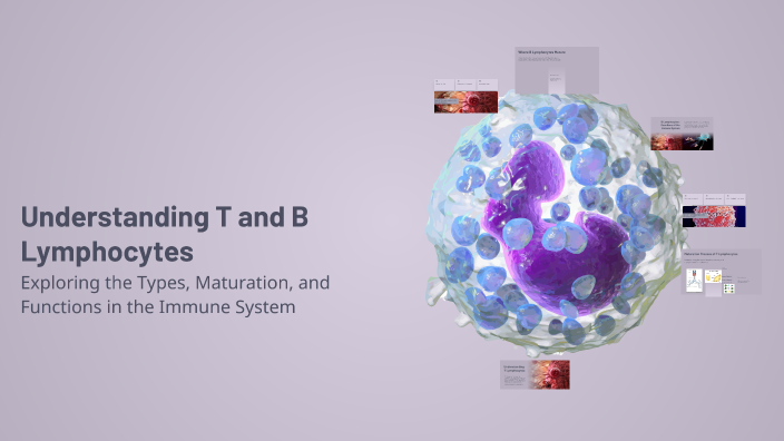 Understanding T and B Lymphocytes by Estefani López on Prezi