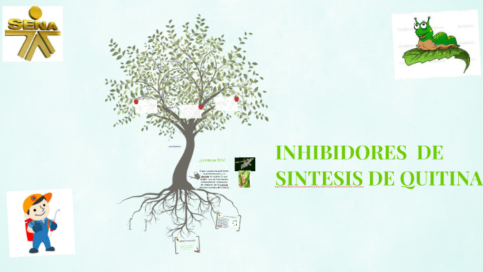 INHIBIDORES DE SINTESIS DE QUITINA by Lizeth Cruz R on Prezi